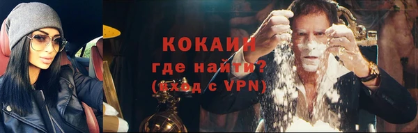 стаф Богородск