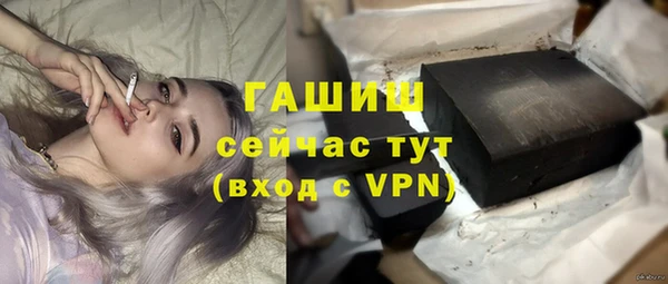 ECSTASY Богданович