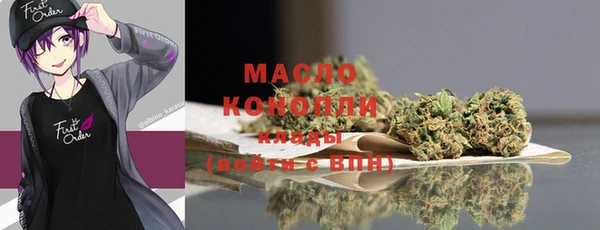 ECSTASY Богданович