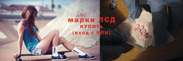 стаф Богородск