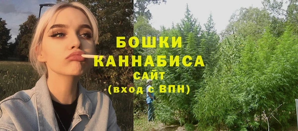 стаф Богородск