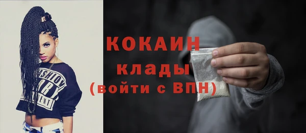 ECSTASY Богданович
