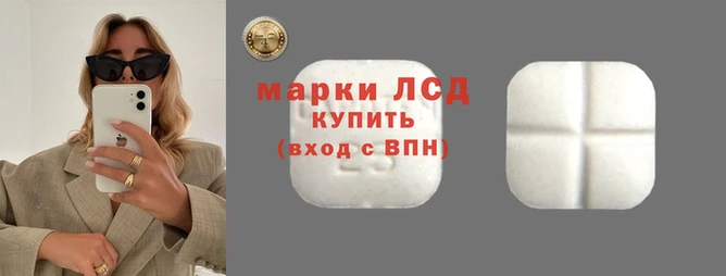 ECSTASY Богданович