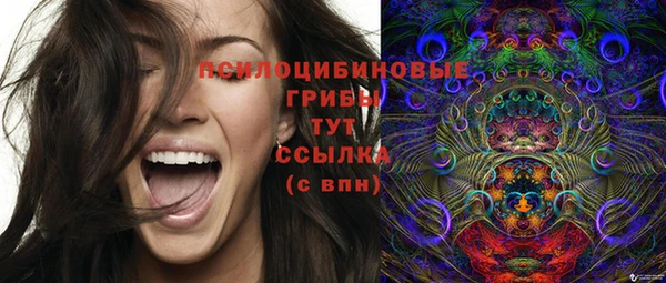 кристаллы Богородицк