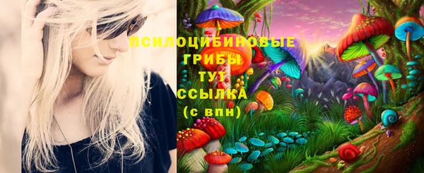 спайс Беломорск