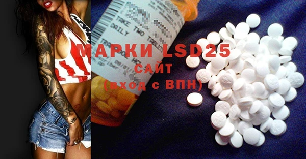 ECSTASY Богданович