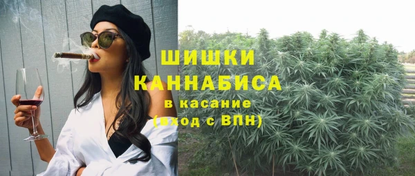 ECSTASY Богданович