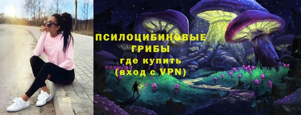 ECSTASY Богданович