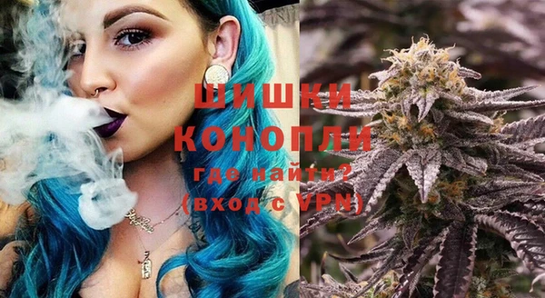 стаф Богородск