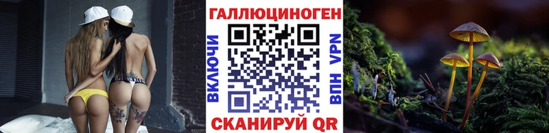 купить наркотик Мглин Галлюциногенные грибы Psilocybine cubensis